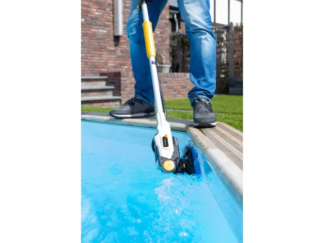Batavia  Twin Brush Medium Brush (Blue) - Image 5