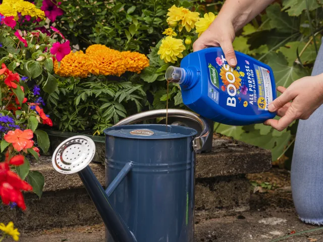 Westland Boost All Purpose Liquid Plant Feed 1 litre - Image 3
