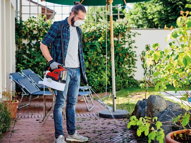 Einhell GE-WS 18/35 Li-Solo Sprayer 18V Bare Unit - Image 9