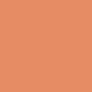Lee Filter - 017