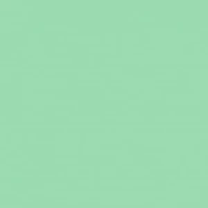 Lee Filter - Green 219