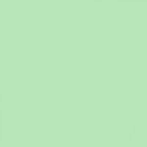 Lee Filter - 242