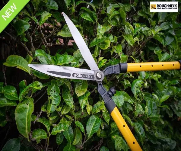 Roughneck XT Pro Telescopic Hedge Shears 700 - 895mm - Image 3